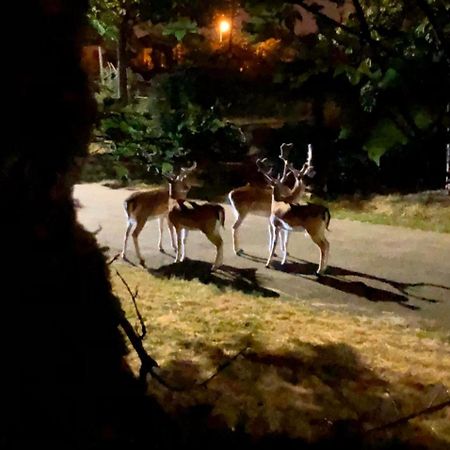 Dans Un Cadre Exceptionnel, Ferme Renovee A 17Km De Paris Villa Boissy-Saint-Leger Luaran gambar