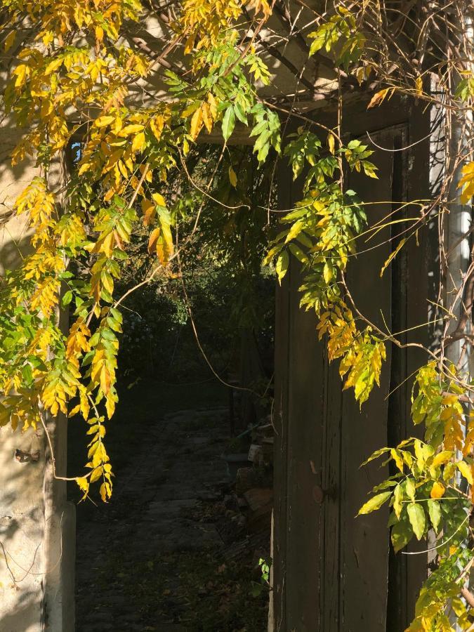 Dans Un Cadre Exceptionnel, Ferme Renovee A 17Km De Paris Villa Boissy-Saint-Leger Luaran gambar