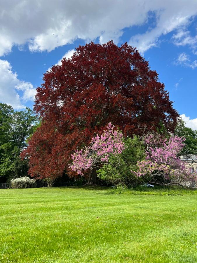 Dans Un Cadre Exceptionnel, Ferme Renovee A 17Km De Paris Villa Boissy-Saint-Leger Luaran gambar